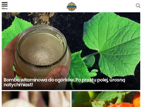 'smakdnia.pl' screenshot