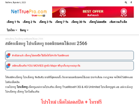 'nettruepro.com' screenshot