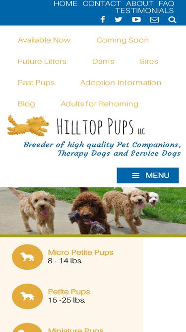 hilltoppups.com
