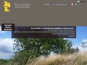 patrick-baudouin-layon.com