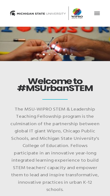 msuurbanstem.org