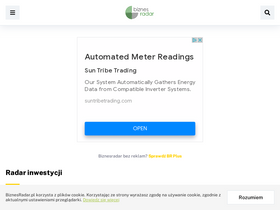 'biznesradar.pl' screenshot
