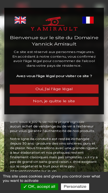 yannickamirault.fr