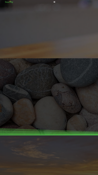 smartpayllc.com