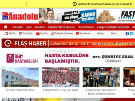 'anadolugazetesi.com' screenshot