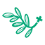 sagemedspas.com