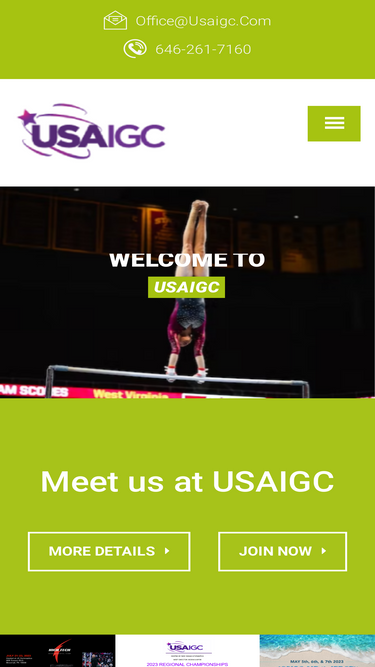 usaigc.com