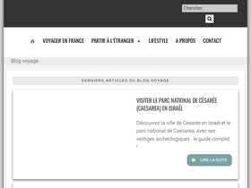 'salutbyebye.com' screenshot