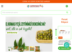 hataydanal.com