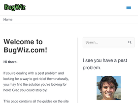'bugwiz.com' screenshot