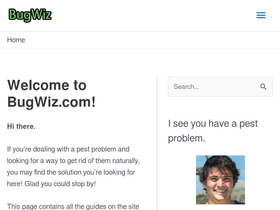 'bugwiz.com' screenshot
