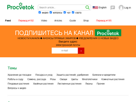 'procvetok.com' screenshot
