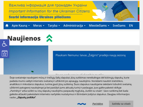 'kaunas.lt' screenshot