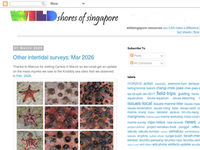 wildshores.blogspot.com