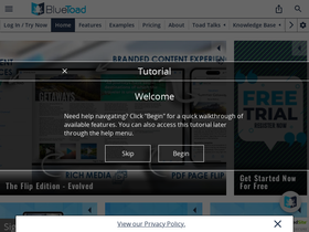 bluetoadpublishing.com