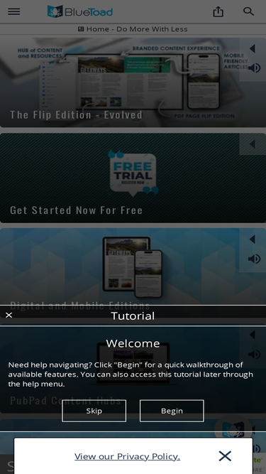 bluetoadpublishing.com