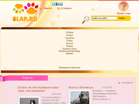 '8lap.ru' screenshot