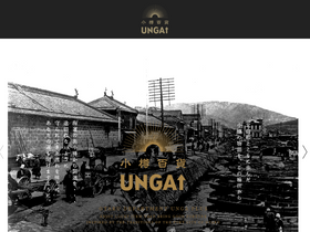 'unga-plus.com' screenshot