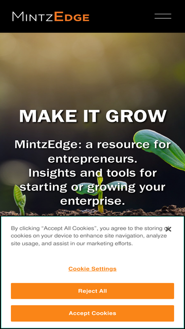 mintzedge.com
