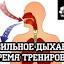 portal-missia.ru