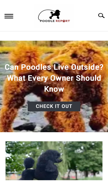 poodlereport.com