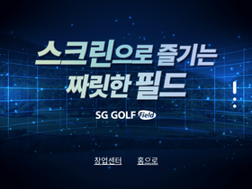 'sggolf.com' screenshot