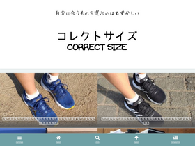 'correct-size.com' screenshot