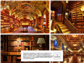 'lit-info.ru' screenshot