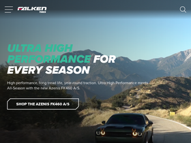 'falkentire.com' screenshot