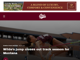 'gogriz.com' screenshot
