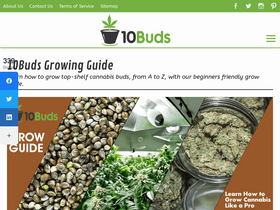 '10buds.com' screenshot