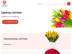 safon.ru