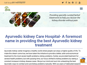 'ayurvedickidneycare.com' screenshot