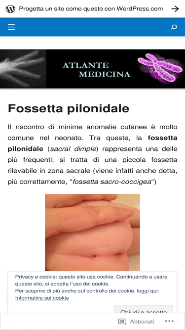 atlantemedicina.wordpress.com