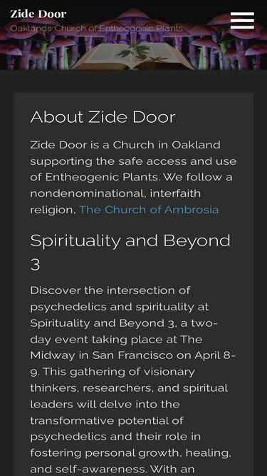 zidedoor.com
