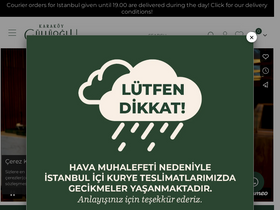 'karakoygulluoglu.com' screenshot