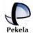 pekela.nl