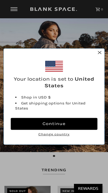 blankspacethestore.com