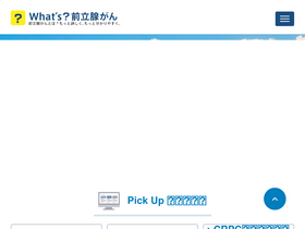 'zenritsusen.jp' screenshot