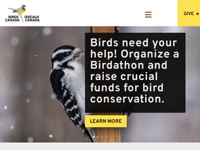 'bsc-eoc.org' screenshot