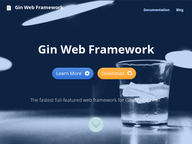 'gin-gonic.com' screenshot
