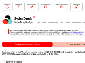 'swissdock.ch' screenshot