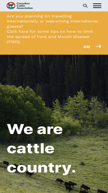 cattle.ca