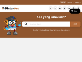 'petpintar.com' screenshot