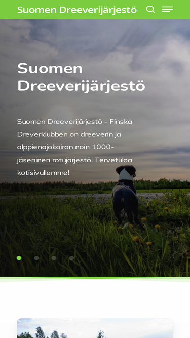 dreeveri.fi