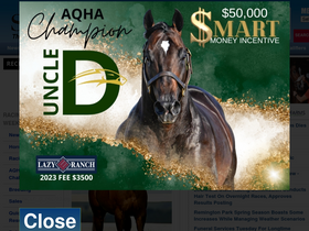 'stallionesearch.com' screenshot