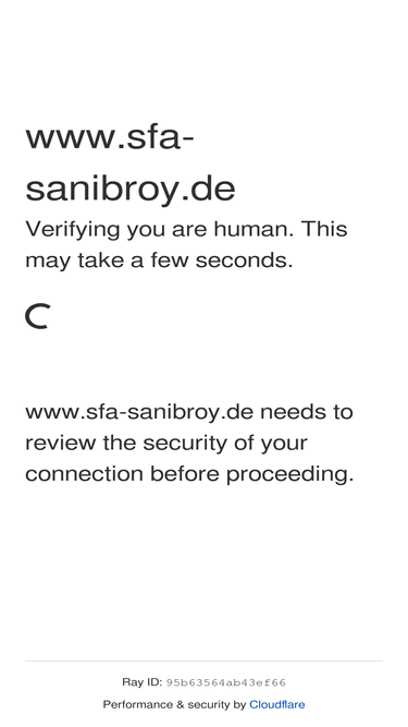 sanibroy.de