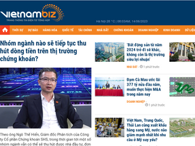 'vietnambiz.vn' screenshot