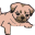 theurbanpuppyshop.com