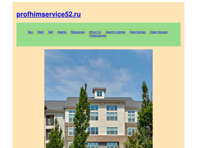 profhimservice52.ru